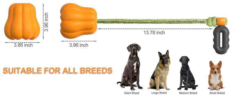 PROKEl Dog Rope Fetch Exercise ToyforMedium  Large Aggressive Chewers BreedDogsChew Interactive Toys Training Tug Of WarBallsindoor And Outdoor Halloween Dogtoyorange Plain Indestructible Dogtoy Super - Woofie Zone