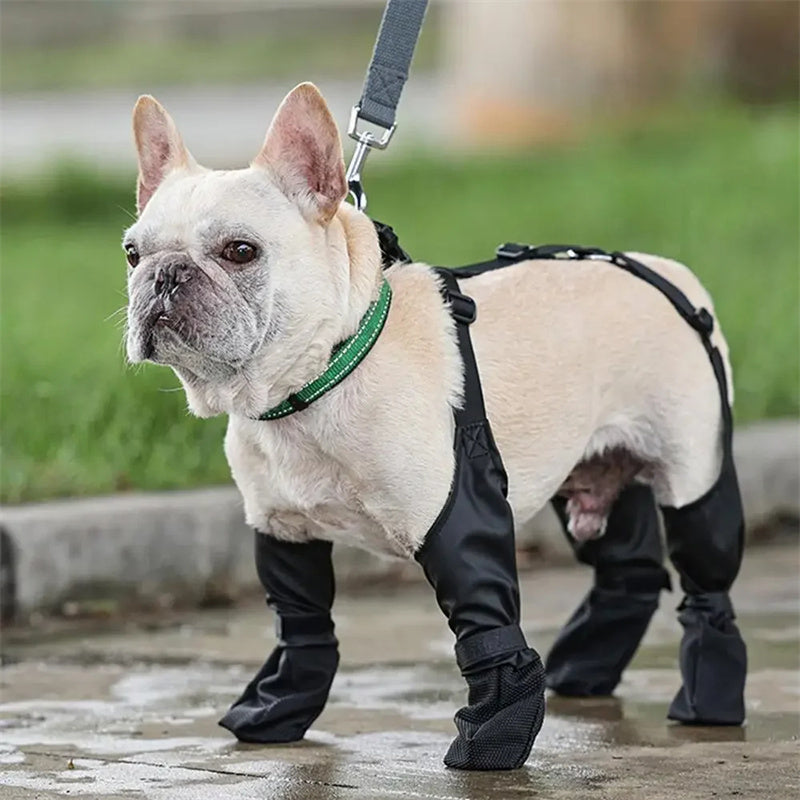 Waterproof Dog Shoes Adjustable Dog Boots Pet Breathbale Shoes For Outdoor Walking Soft French Dog Shoes Pets Paws Protector Pet Products - Woofie Zone