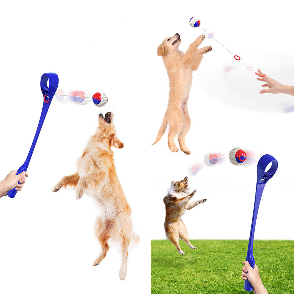 Multifunction Sport Ball Pet Toy Dog Toys Tennis Ball Pet Products - Woofie Zone